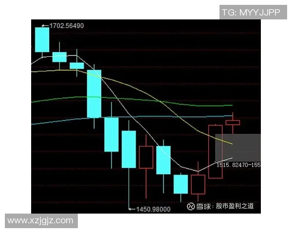 杭州羽毛球队与上海羽毛球队技术分析赛后复盘全景解读